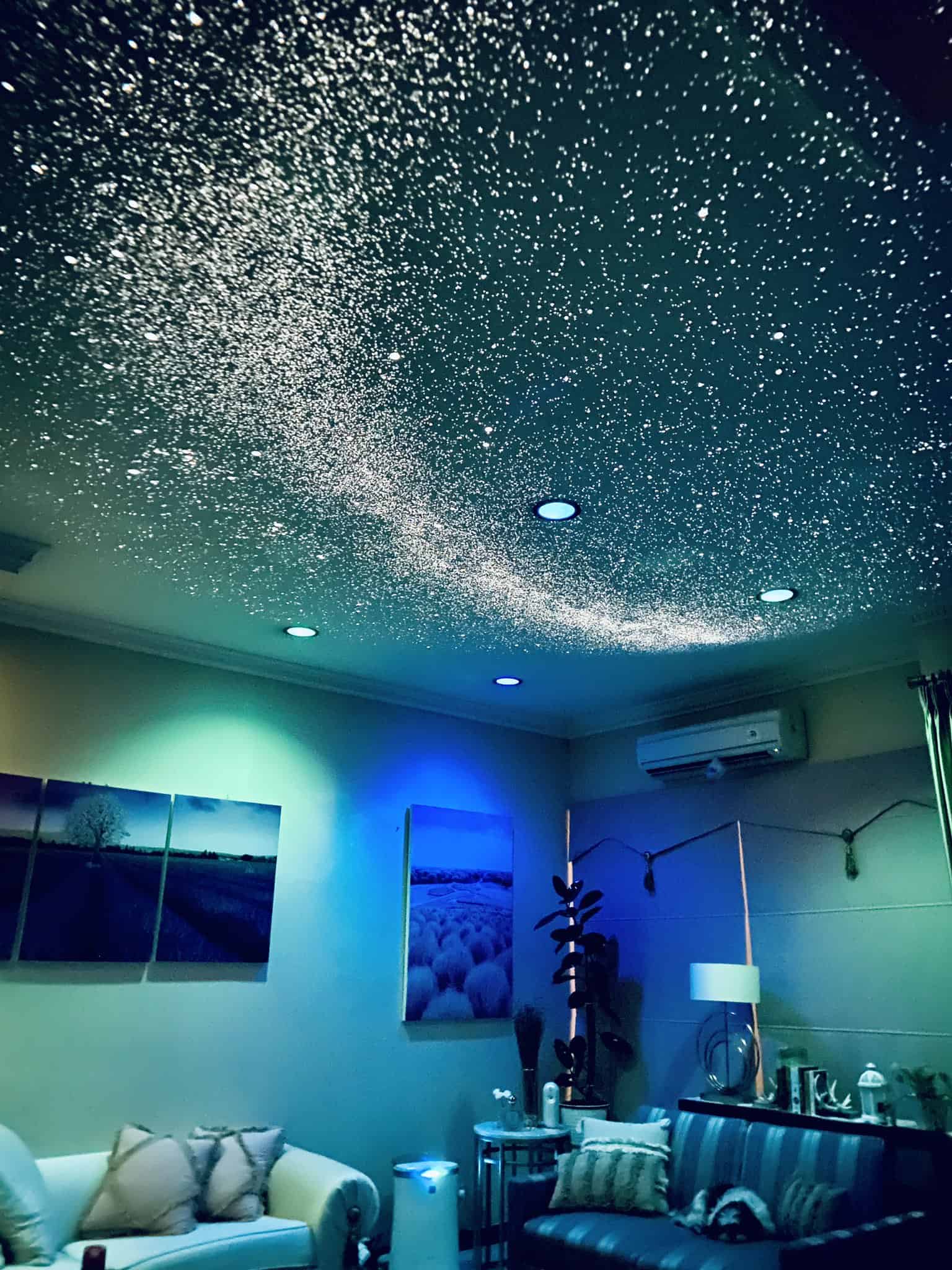 Sega Homestar FLUX Home Planetarium Review (MUST READ)